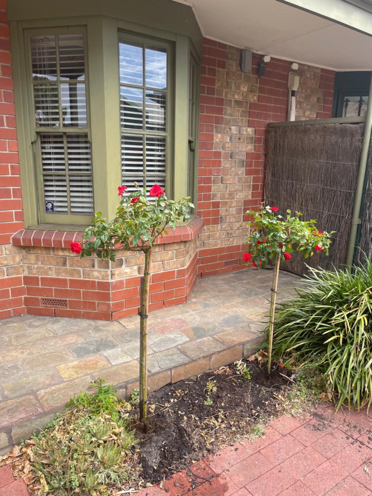 Adelaide Style Accommodation-Getaway In North Adelaide- Close To City 外观 照片