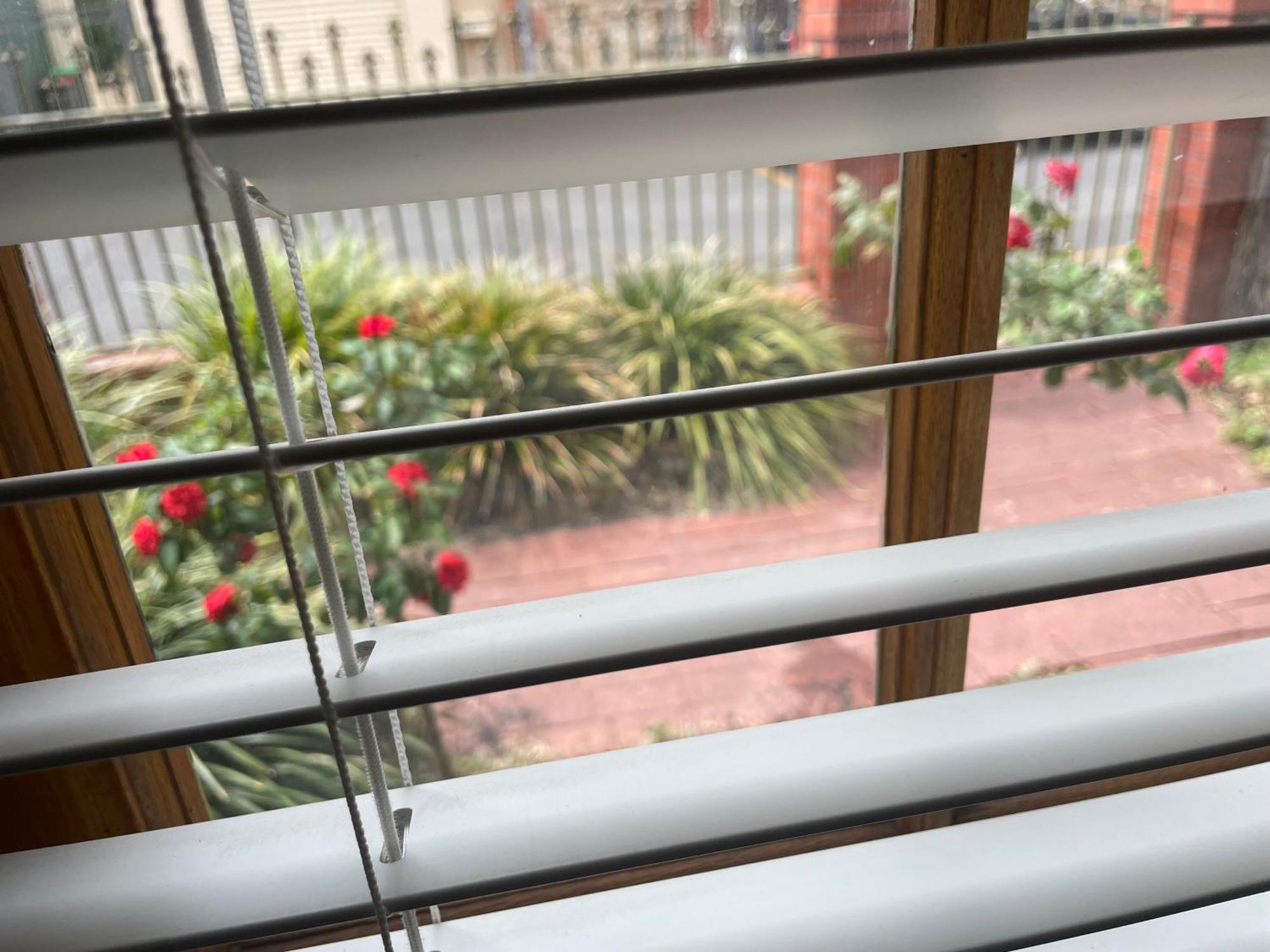 Adelaide Style Accommodation-Getaway In North Adelaide- Close To City 外观 照片