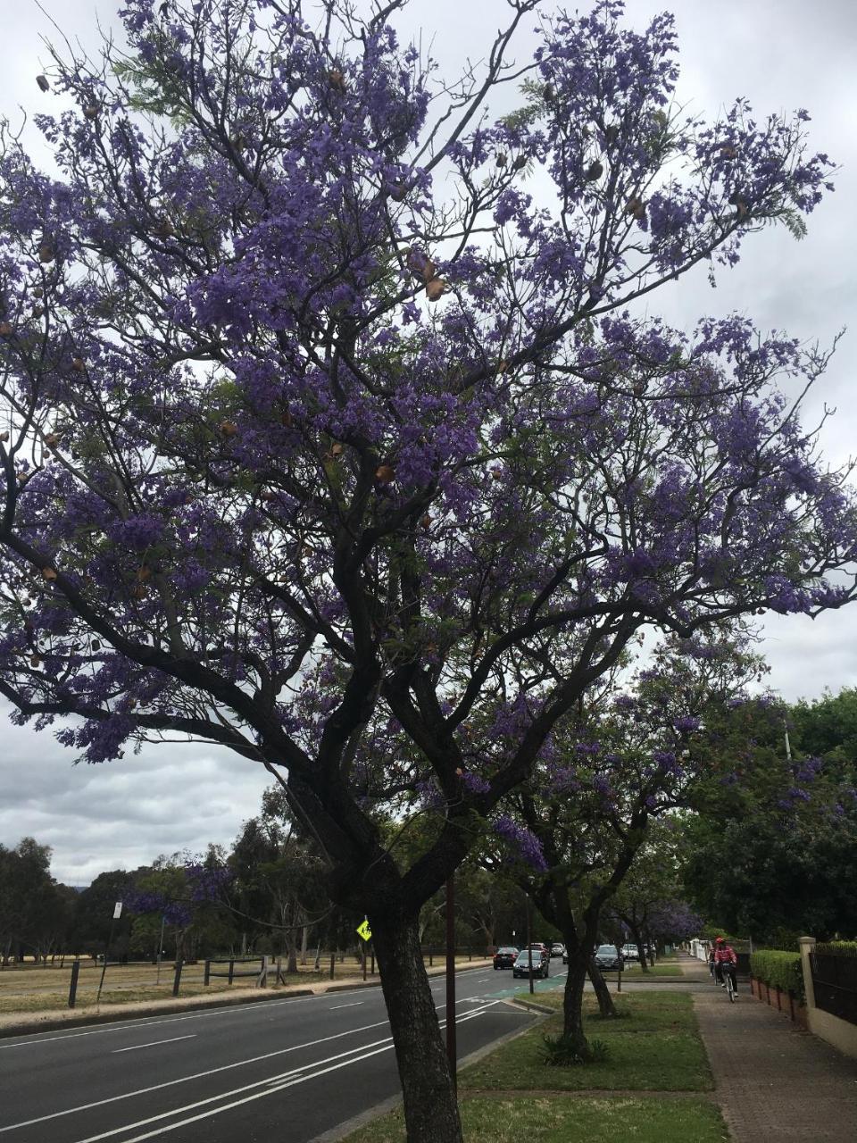 Adelaide Style Accommodation-Getaway In North Adelaide- Close To City 外观 照片